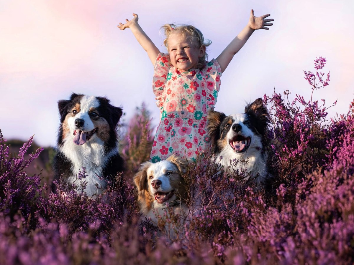 Tussen Kind en Hond: Voor kinderen die de wereld op hun eigen intense manier beleven.