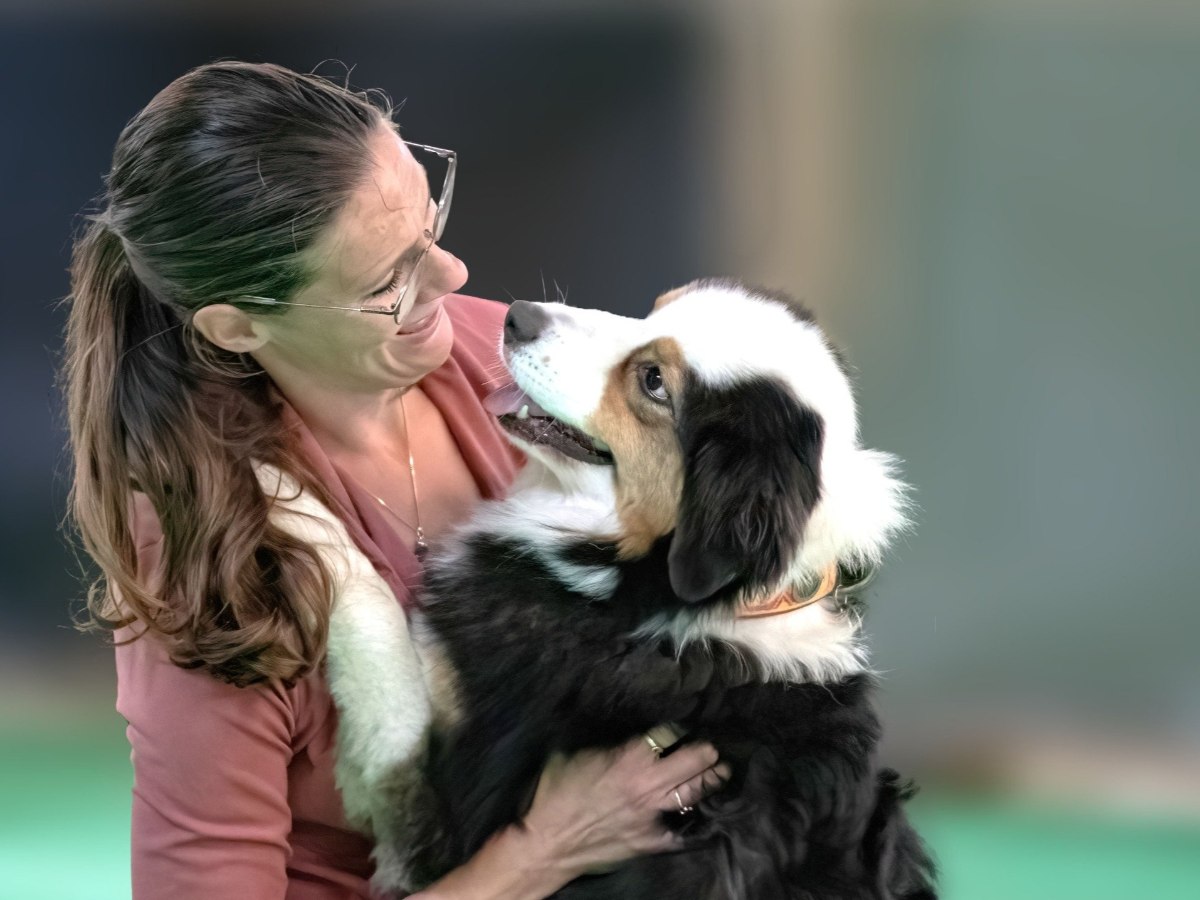 Tussen Mens en Hond Teamdagen