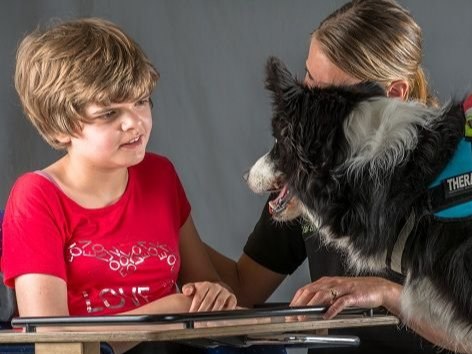 Honden in de Zorg